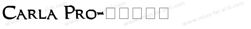 Carla Pro字体转换